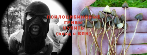 Альфа ПВП Алексин