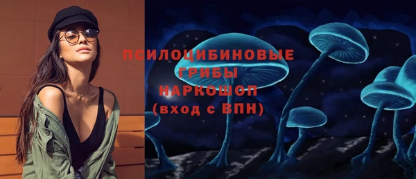 спиды Алексеевка