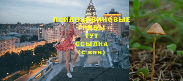 тгк Армянск