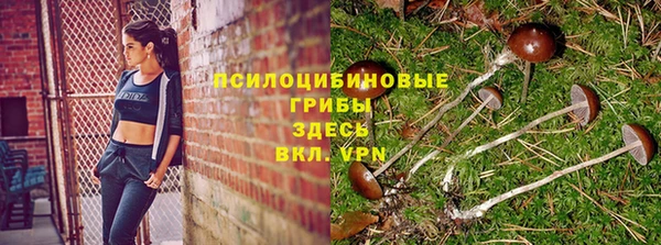 Альфа ПВП Алексин