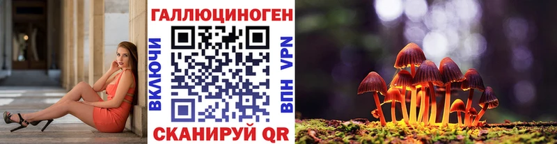 Купить закладки  Безенчук  Псилоцибиновые грибы мицелий 